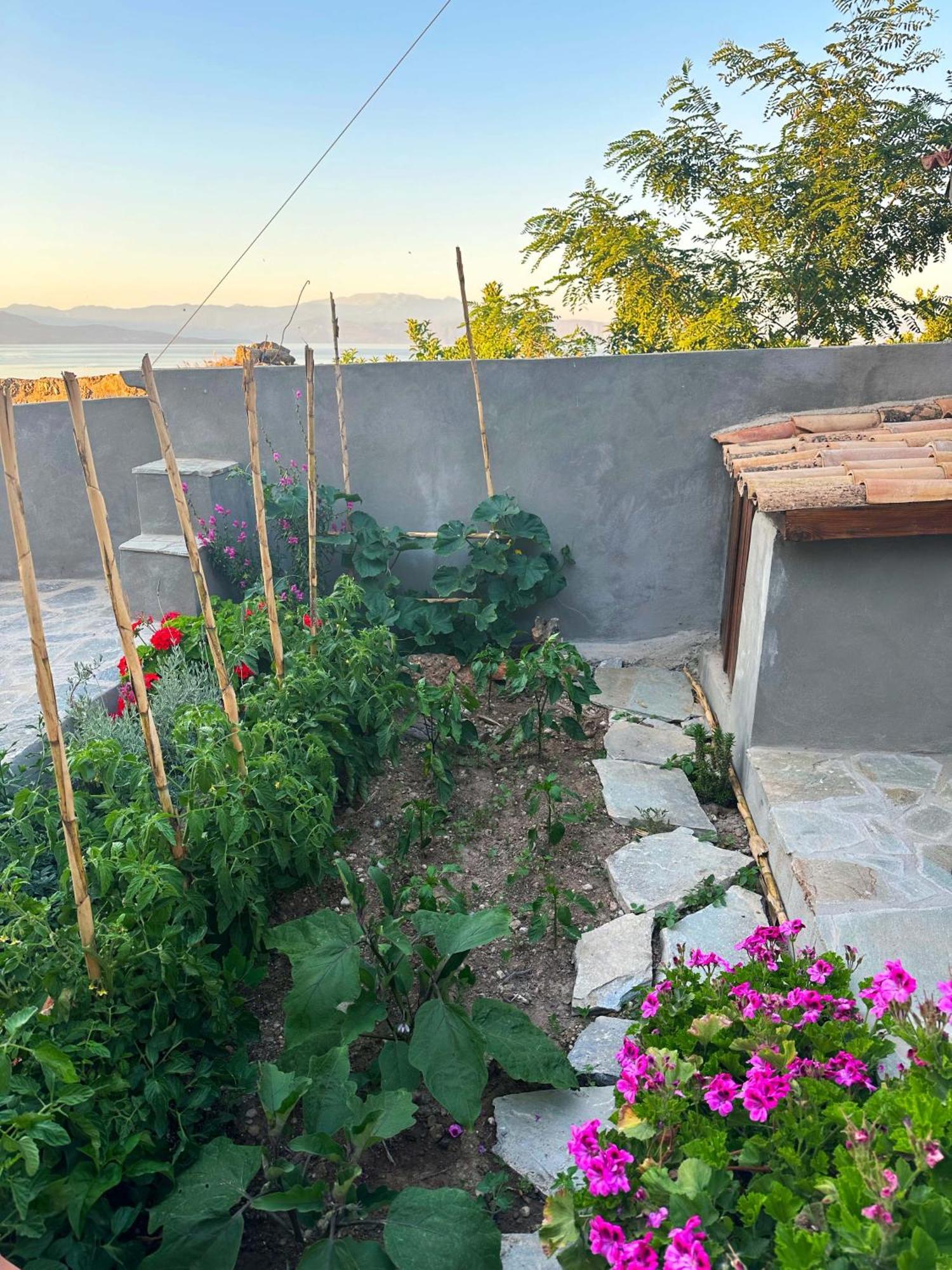 Fteri Stone House In Platanos, Akrata Appartement Buitenkant foto